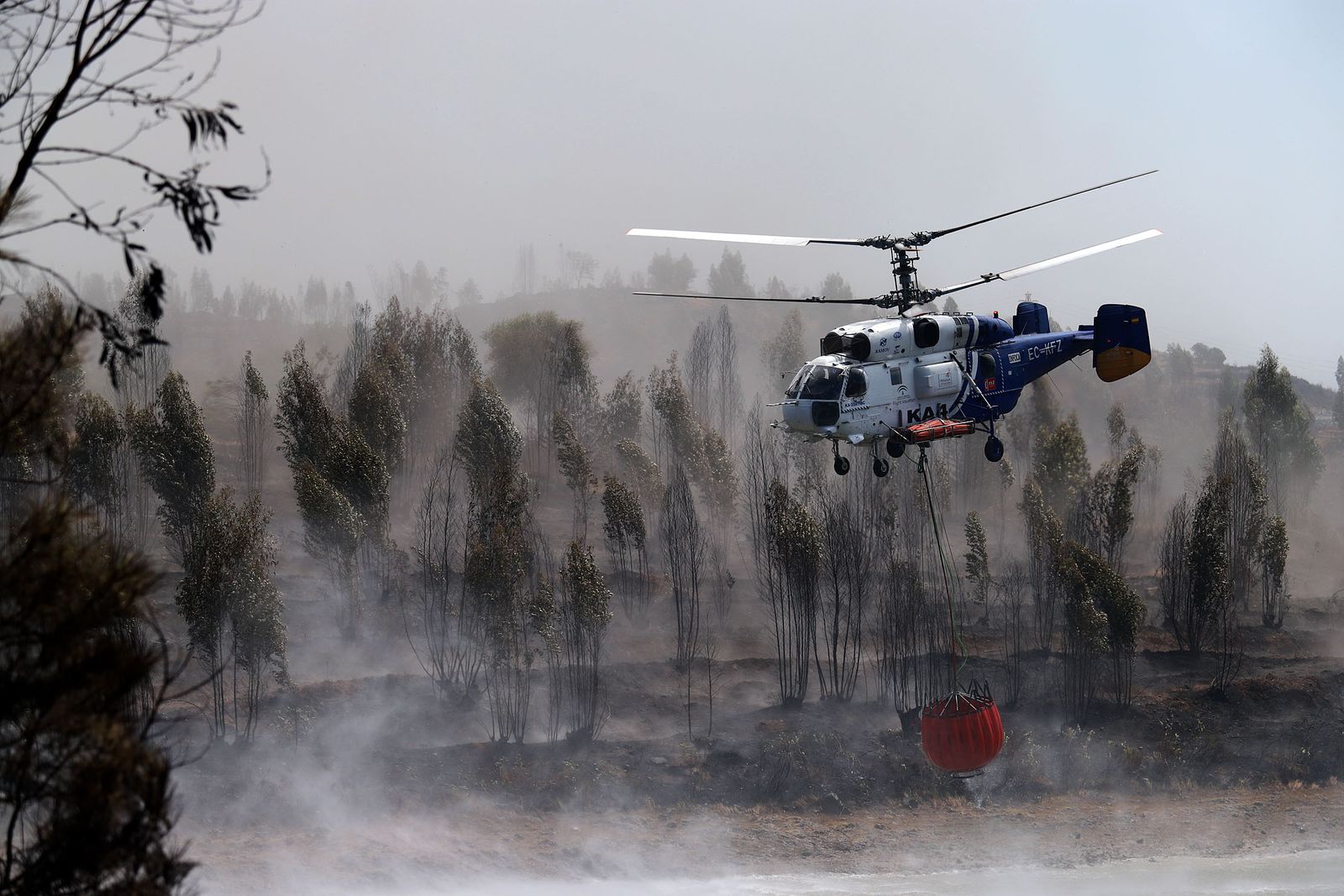 Imágenes de la devastación que deja a su paso el incendio de Almonaster la real.