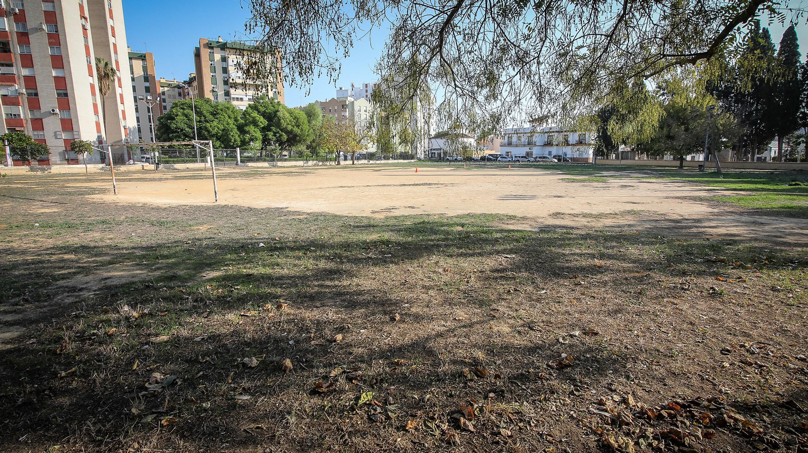 Imágenes del mal estado del CEIP Tartesos