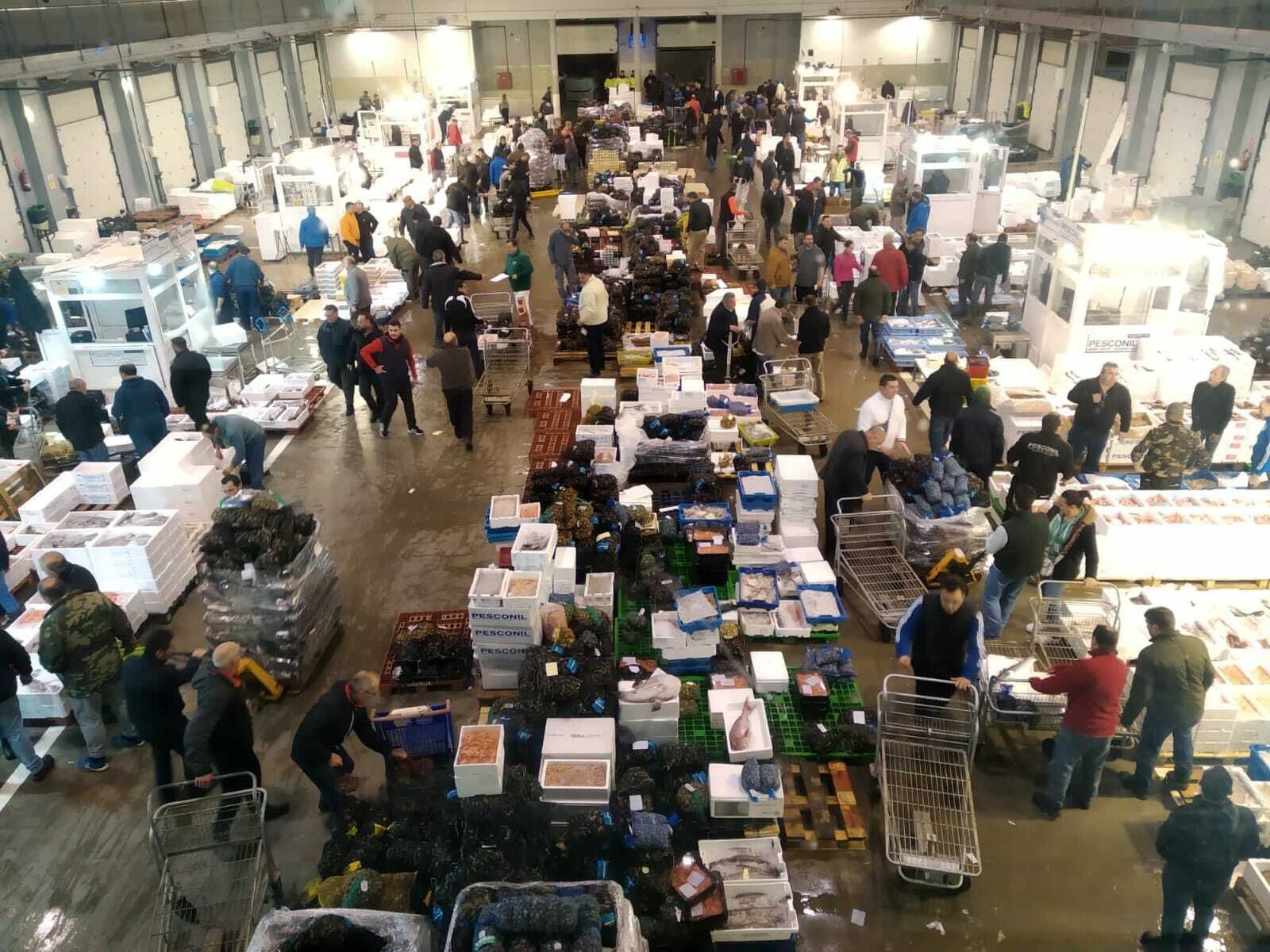 El mercado de mayoristas de El Puerto garantiza el suministro de pescado fresco.