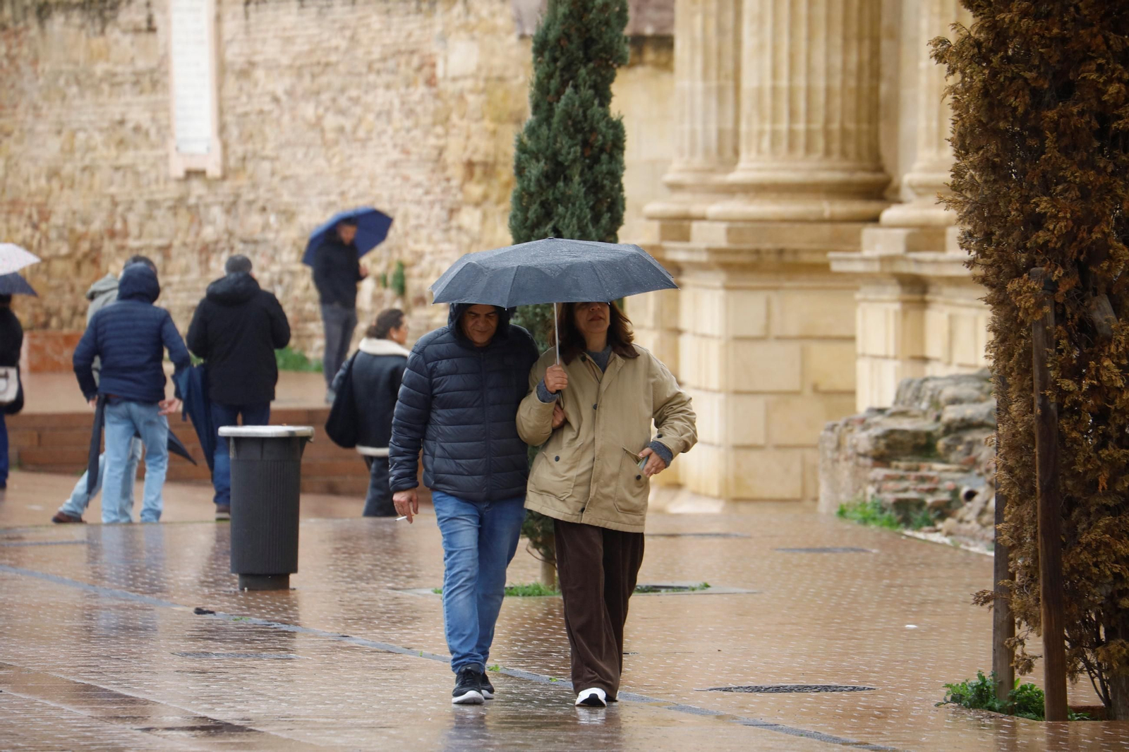 El paso de la borrasca Herminia por Córdoba, en imágenes