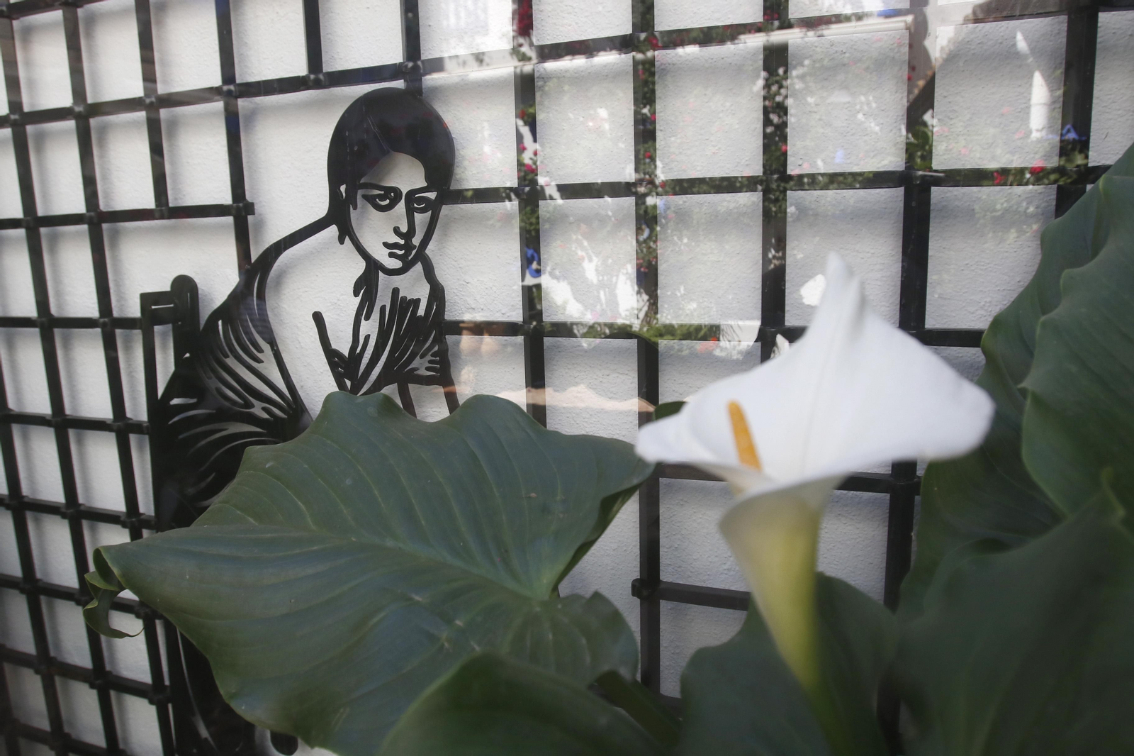 Ruta San Lorenzo de los Patios de Córdoba, en imágenes