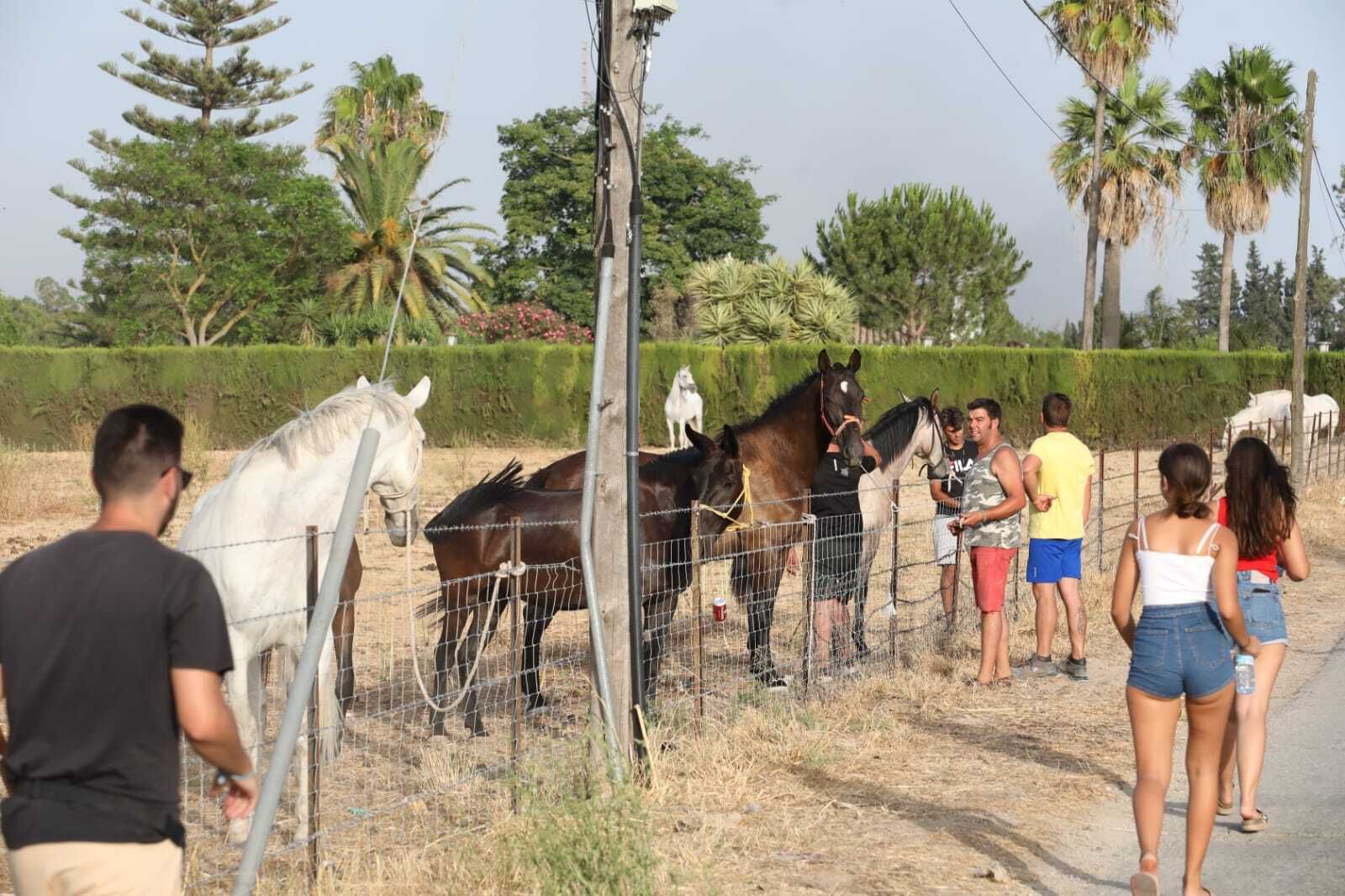 Incendio en Jerez: desalojos por precaución en el Serrallo y La Teja