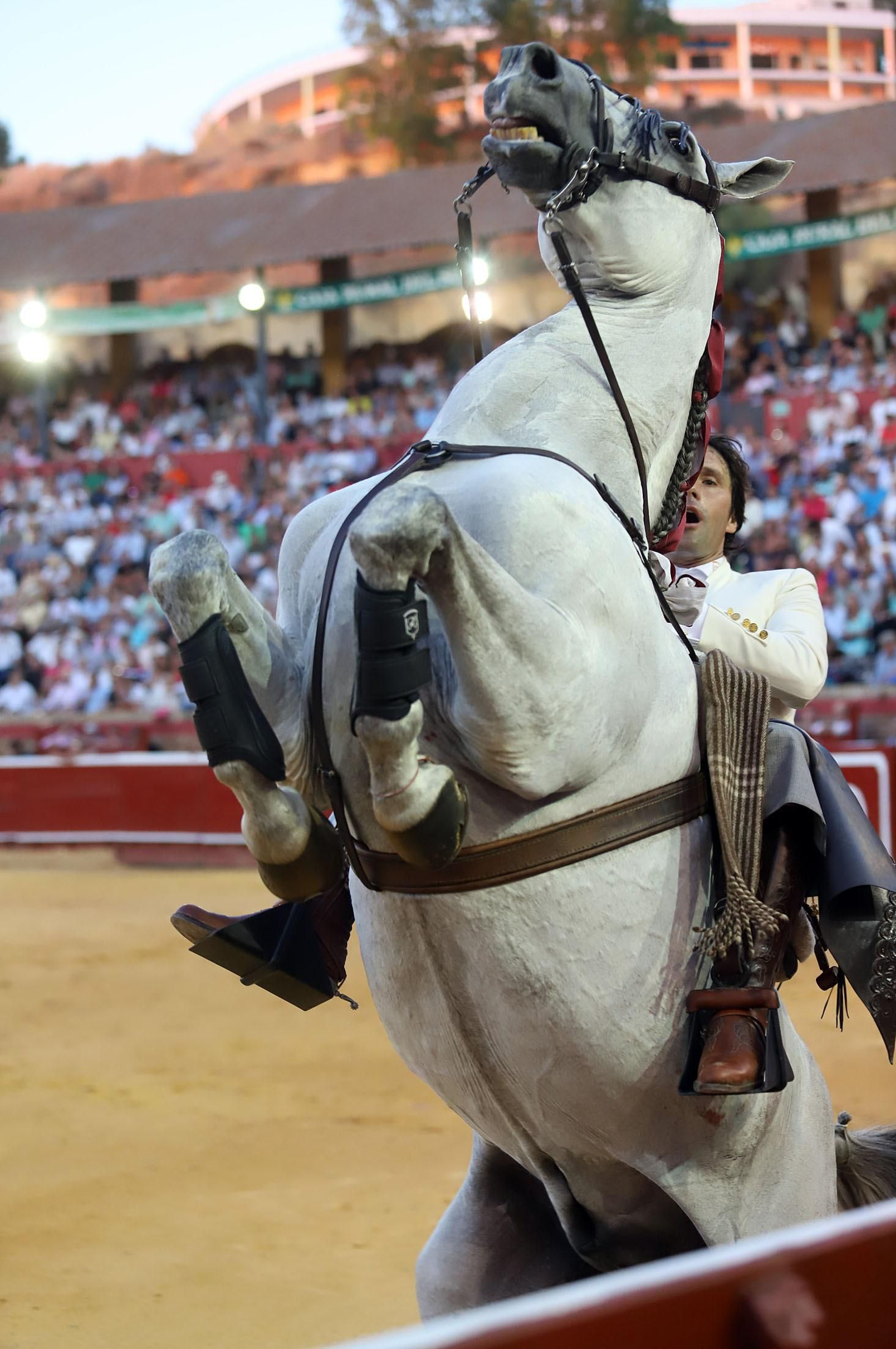 Imágenes de Andrés Romero y Diego Ventura en el rejoneo de la Plaza de Toros La Merced