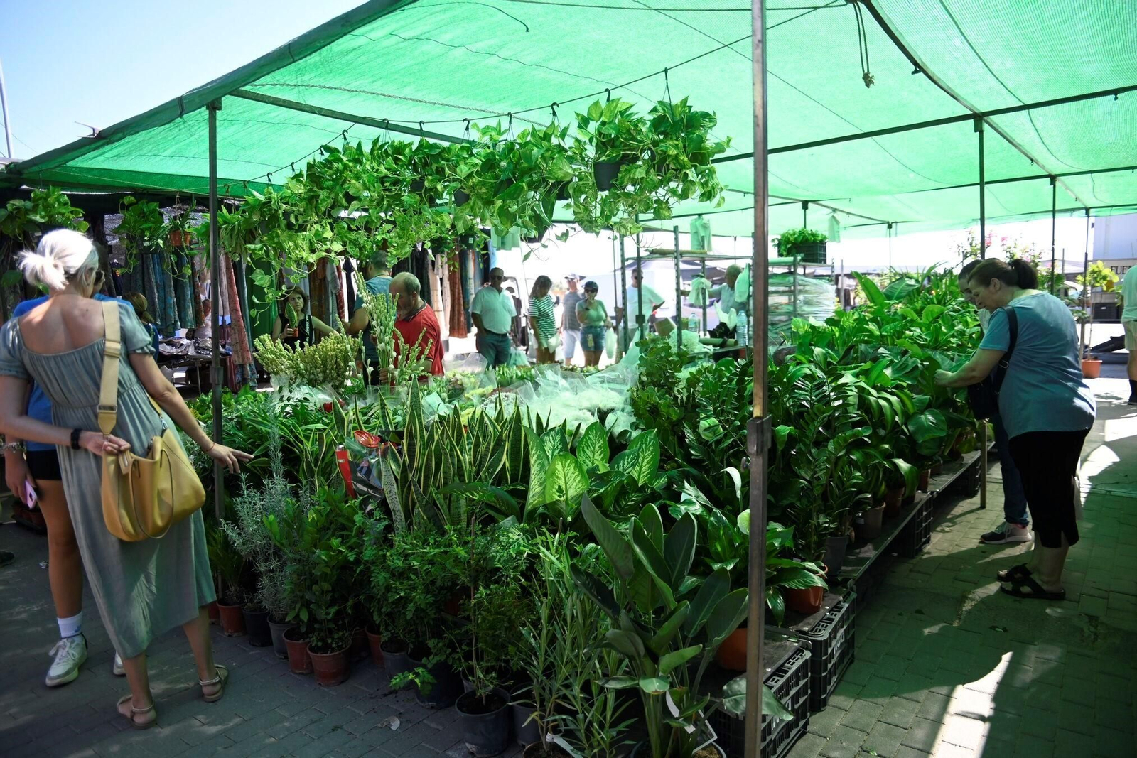 Un domingo de verano en el mercadillo de El Arenal de Córdoba