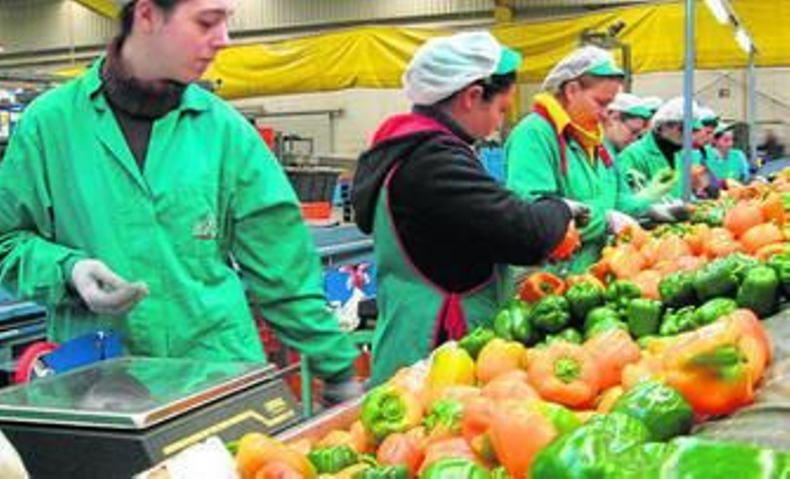 Precios y certidumbre, retos de un sector hortofrutícola en continuo crecimiento