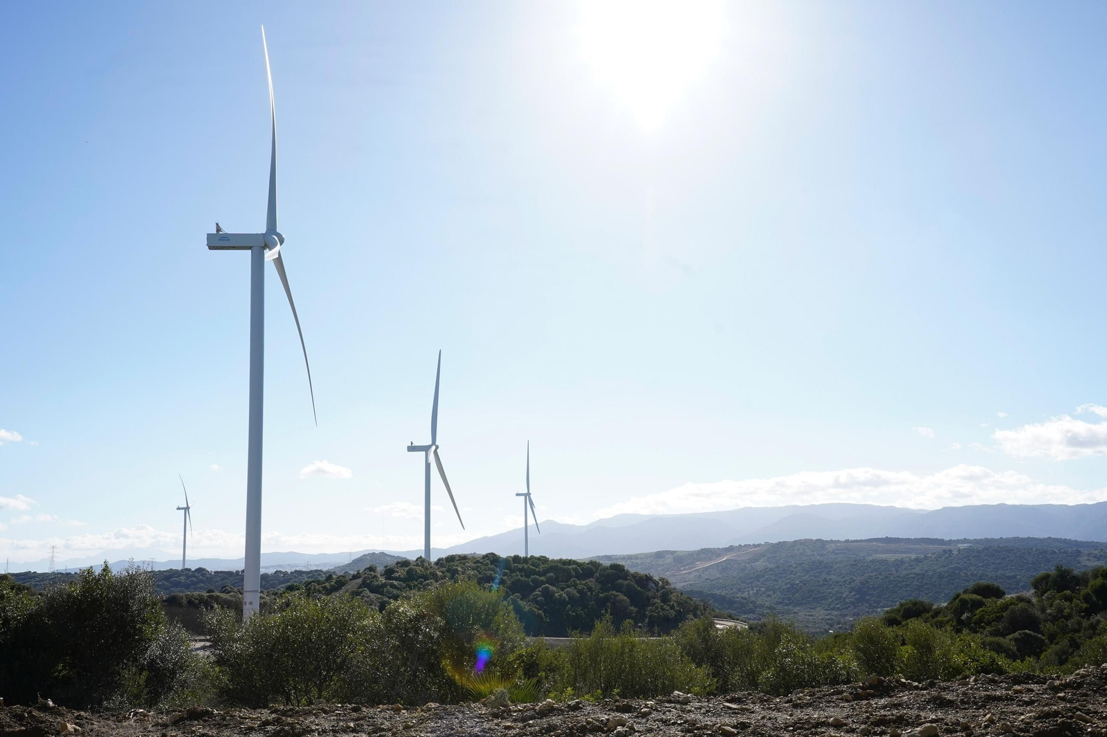 Las fotos de la inauguración de los parques eólicos El Padrón y Cerro Cabello de Los Barrios