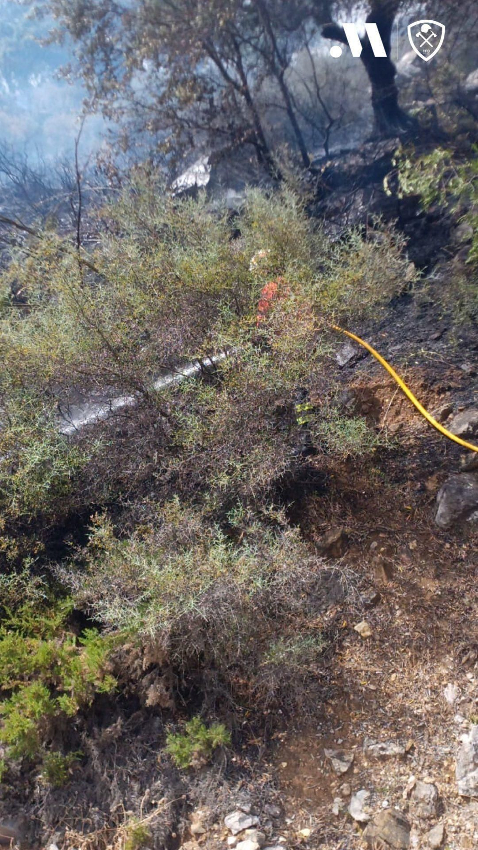 Un bombero actuando en la zona del incendio de Algatocín. Un bombero actuando en la zona del incendio de Algatocín.