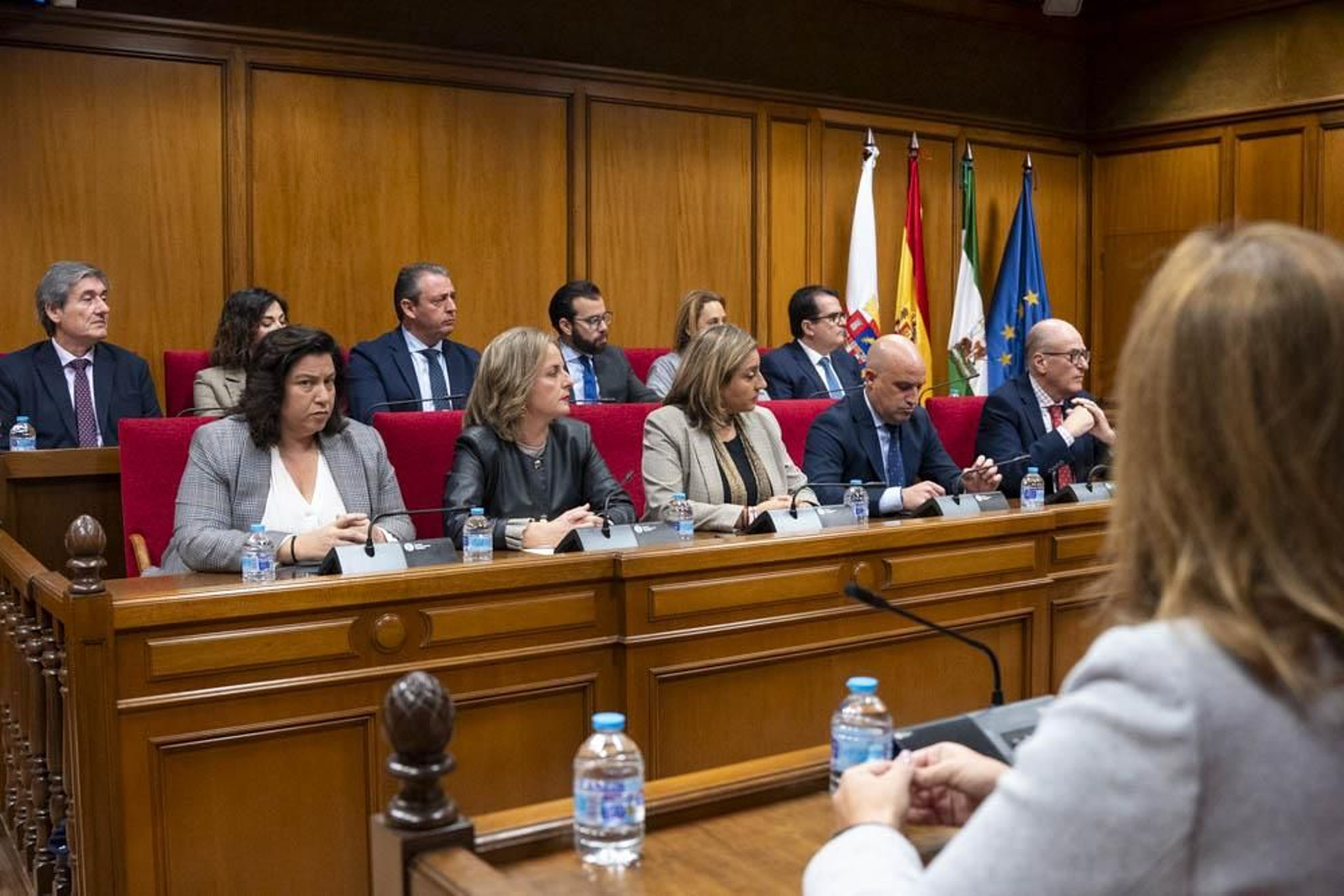 Las imágenes del primer pleno en Diputación sin Javier Aureliano García