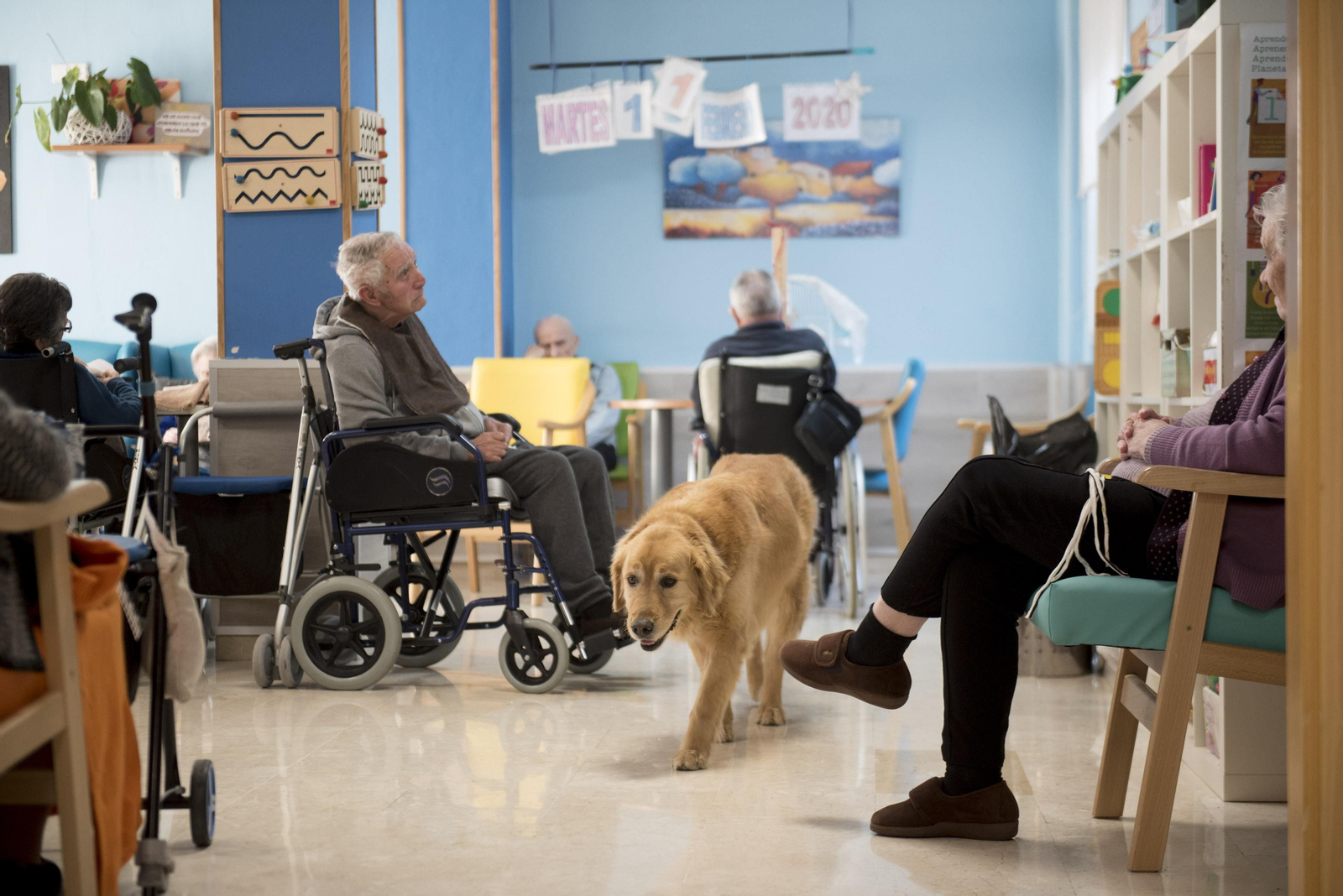 Aire y agua ozonizada para garantizar espacios desinfectados sin productos químicos