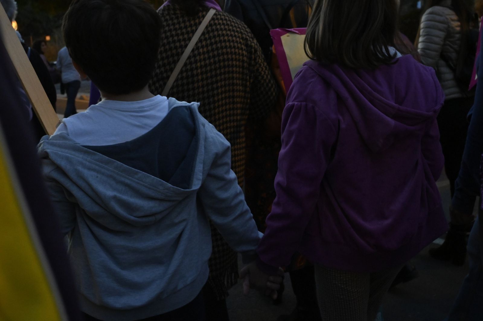 Manifestación del 25N en Imágenes.