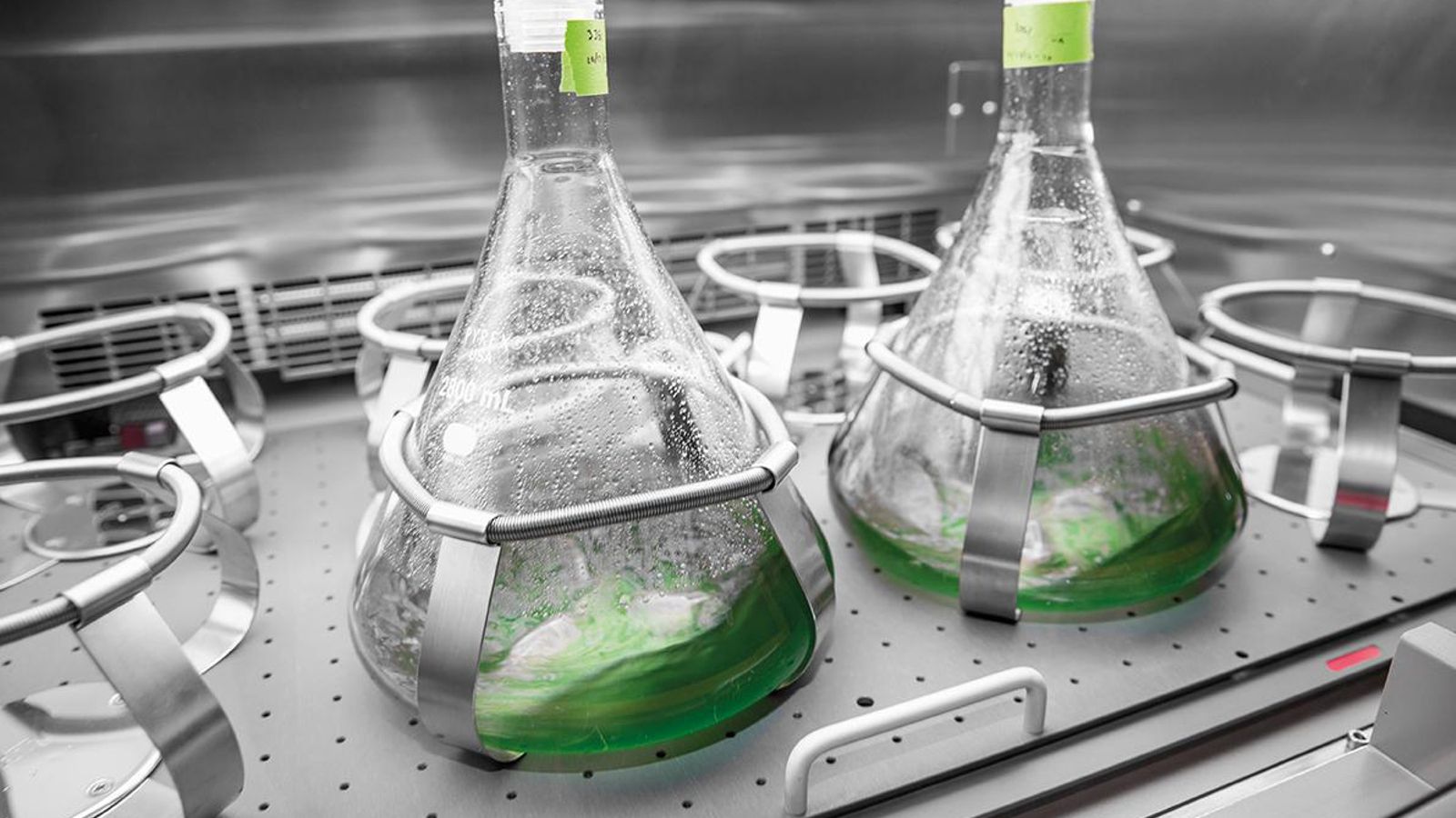 Los combustibles sintéticos podrían dar cierto margen de vida a los motores de térmicos, pero la condición exigida es que su uso no suponga la emisión de CO2.