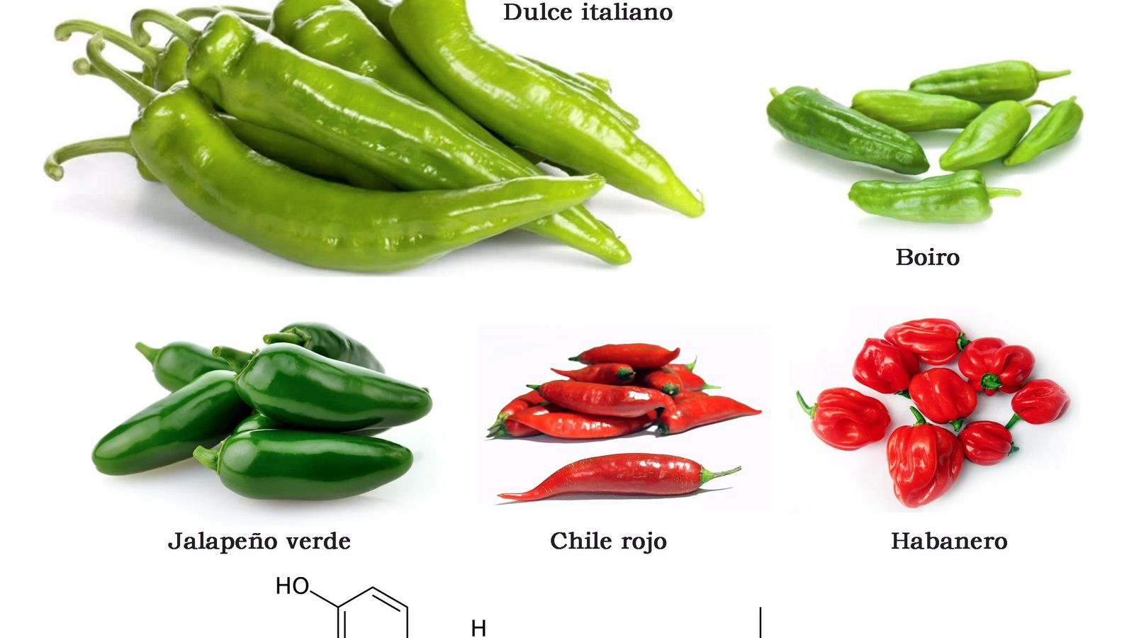 Variedades de pimientos