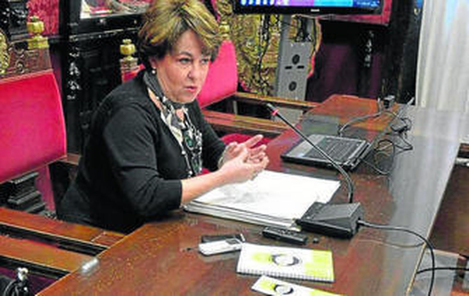 La concejal de Movilidad, Telesfora Ruiz, presentando la campaña.