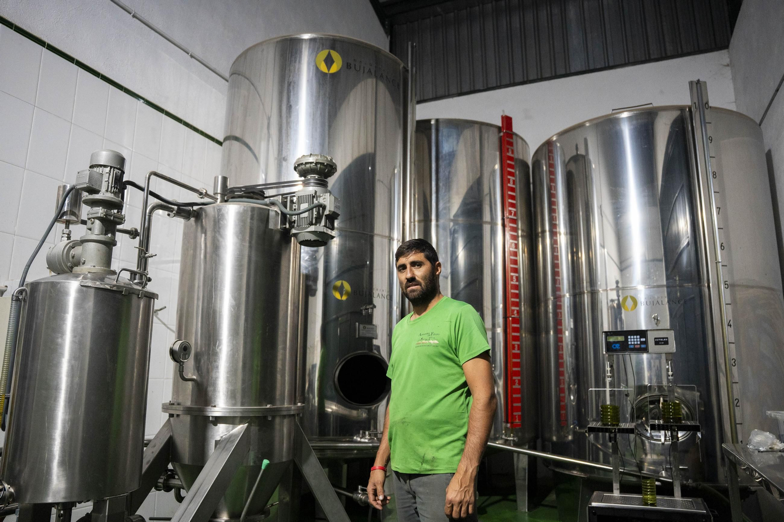 Os enseñamos como se hace el aceite en la almazara de Fiñana, en imágenes