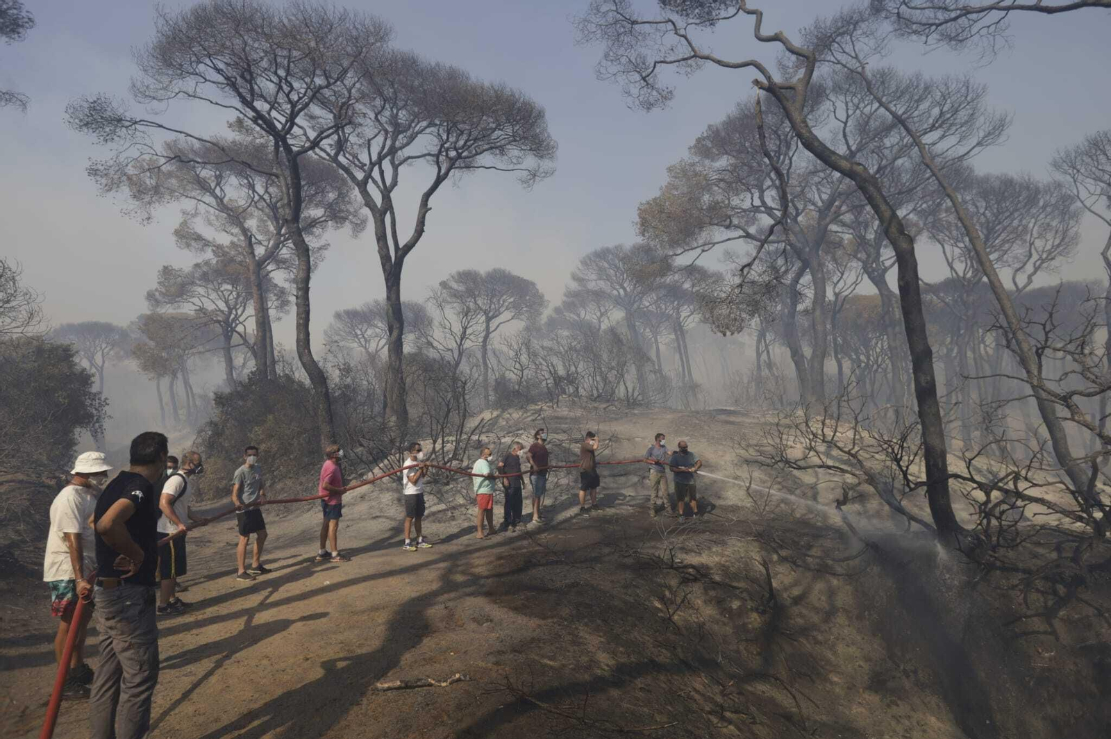El fuego arrasa Las Canteras en Puerto Real