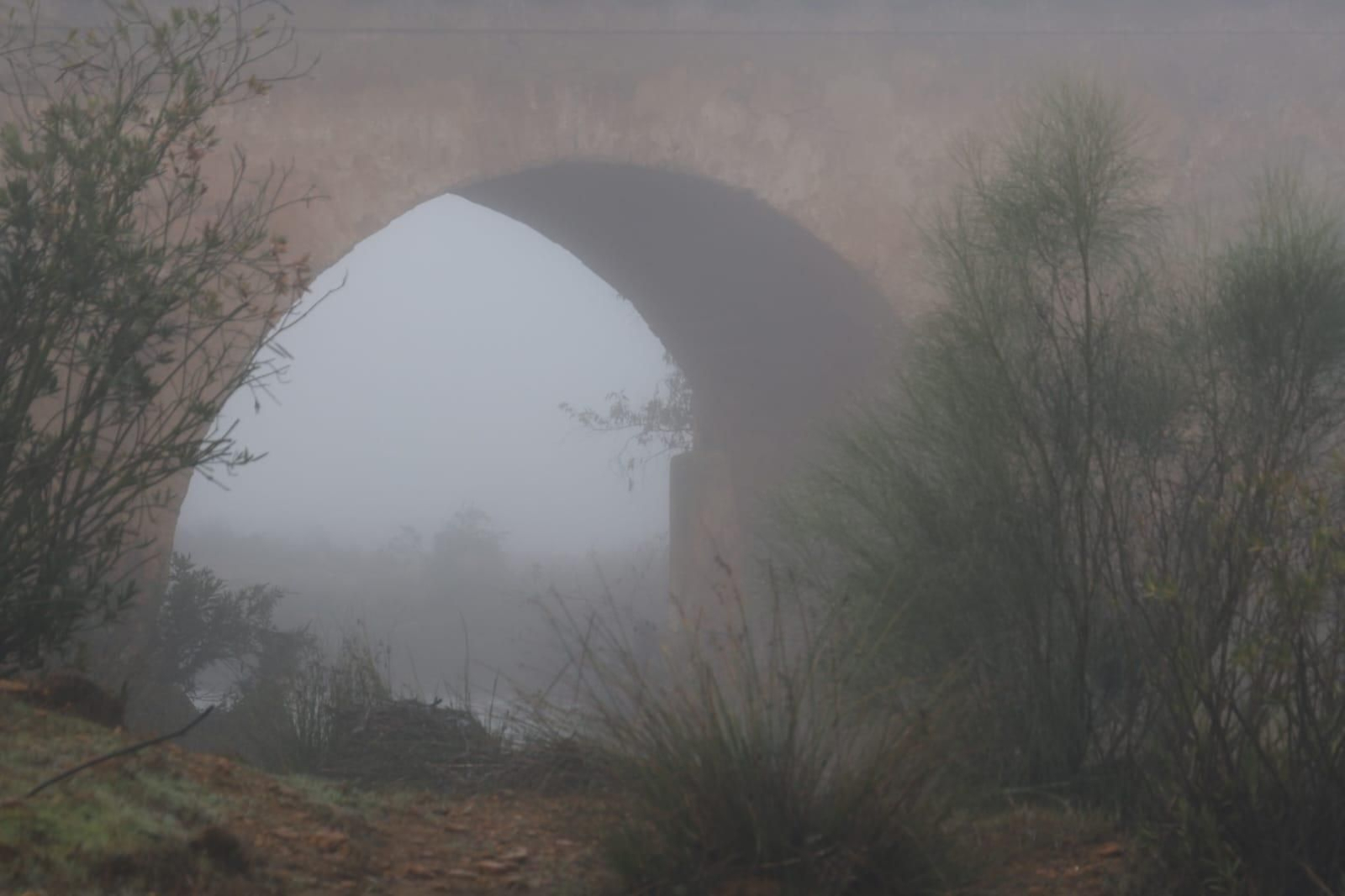 Huelva se tiñe de blanco con la densa niebla de este jueves: espectaculares imágenes de la provincia a primera hora de la mañana