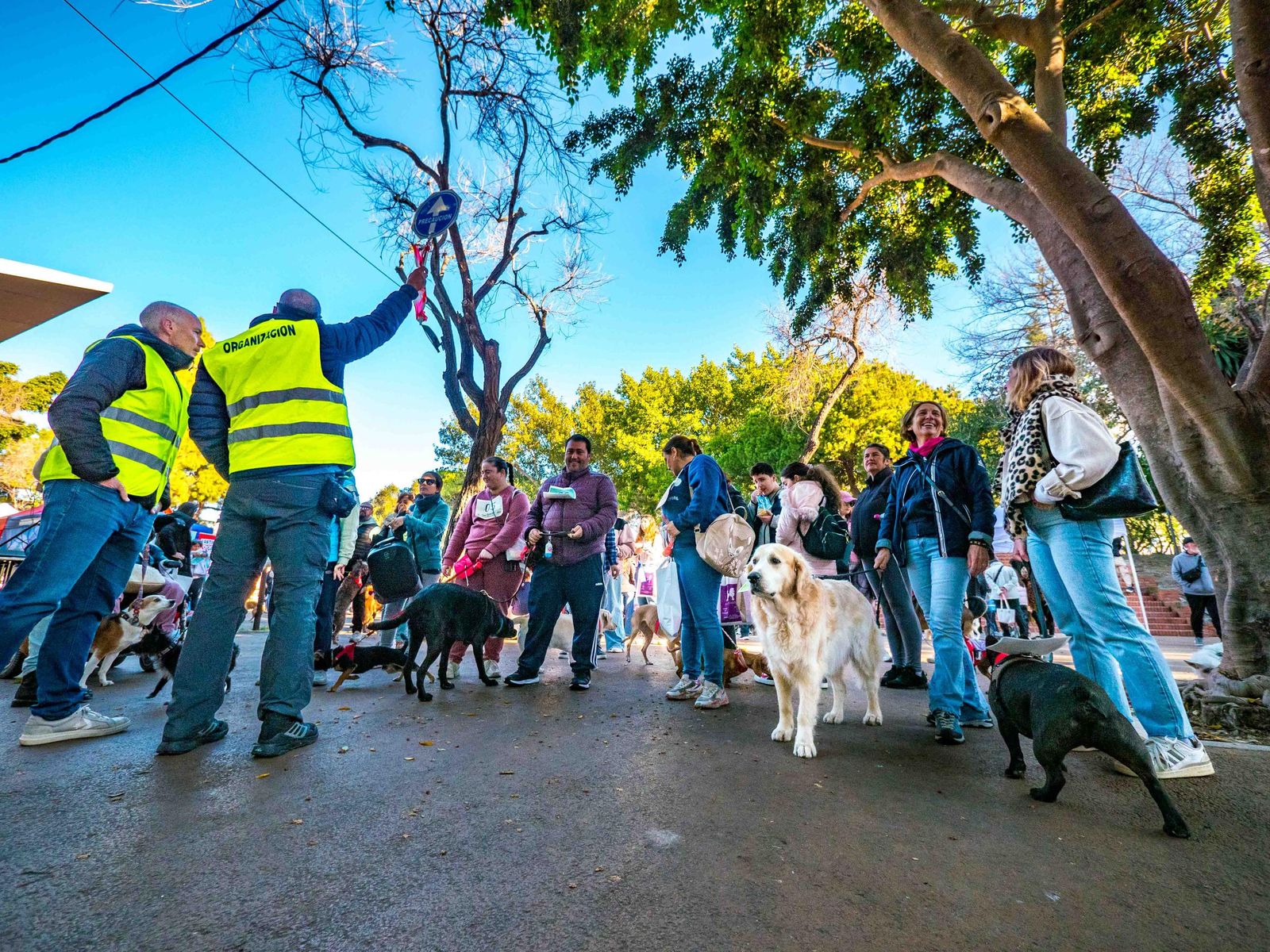 Las imágenes de San Antón 2025 en San Fernando