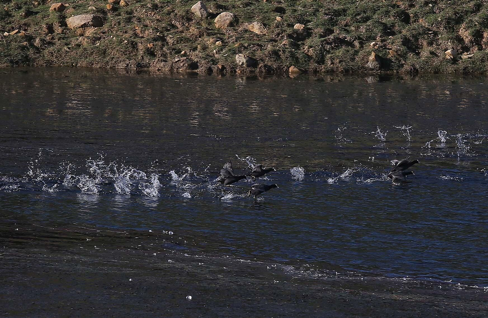 Imágenes del acuífero de la Huerta de Las Pilas en Algeciras