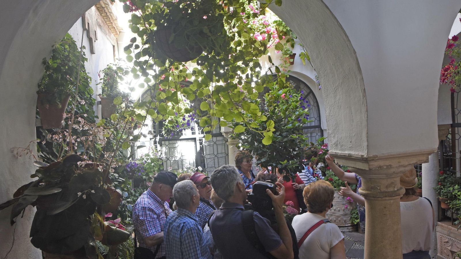 Turistas en San Basilio, 20