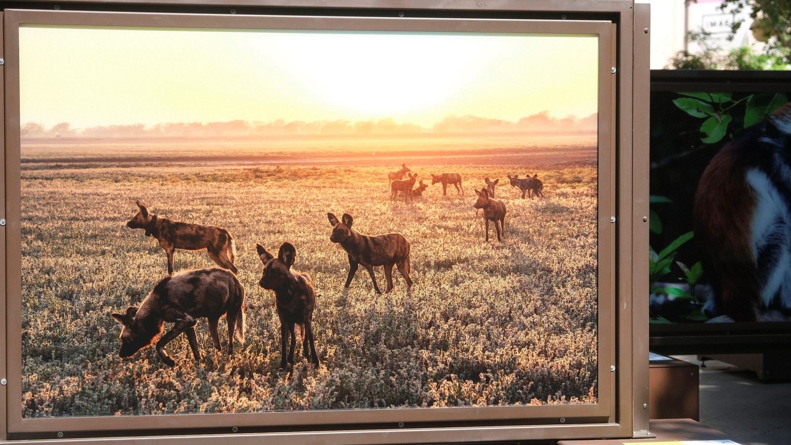 Una de las imágenes que recoge la muestra.