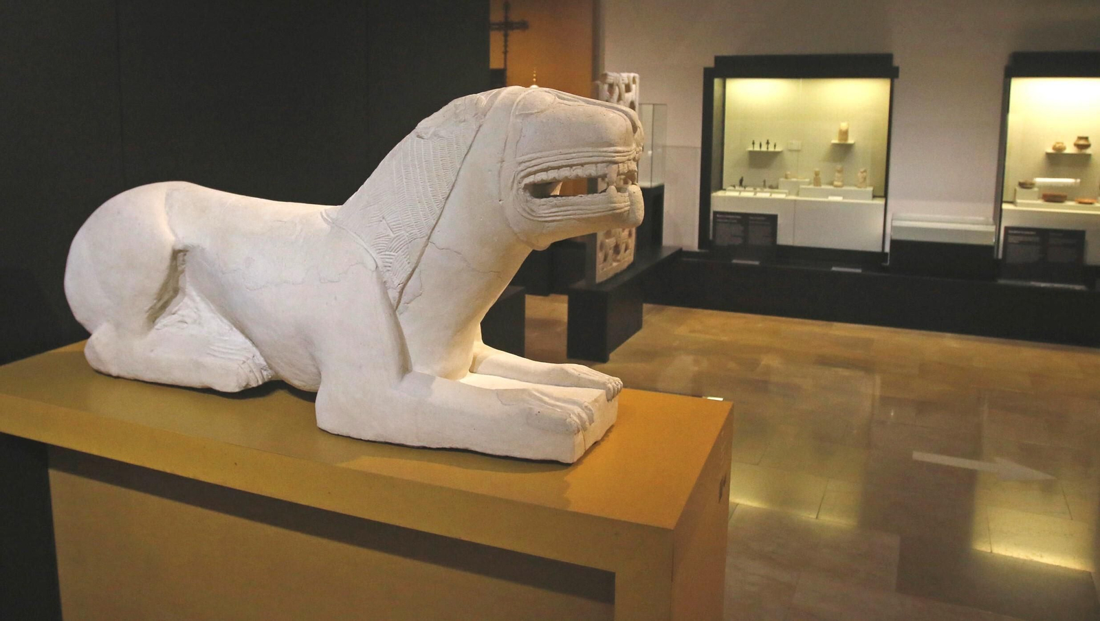 Leona de Nueva Carteya expuesta en el Arqueológico de Córdoba, desde otro ángulo. Las leonas íberas de Córdoba, en imágenes