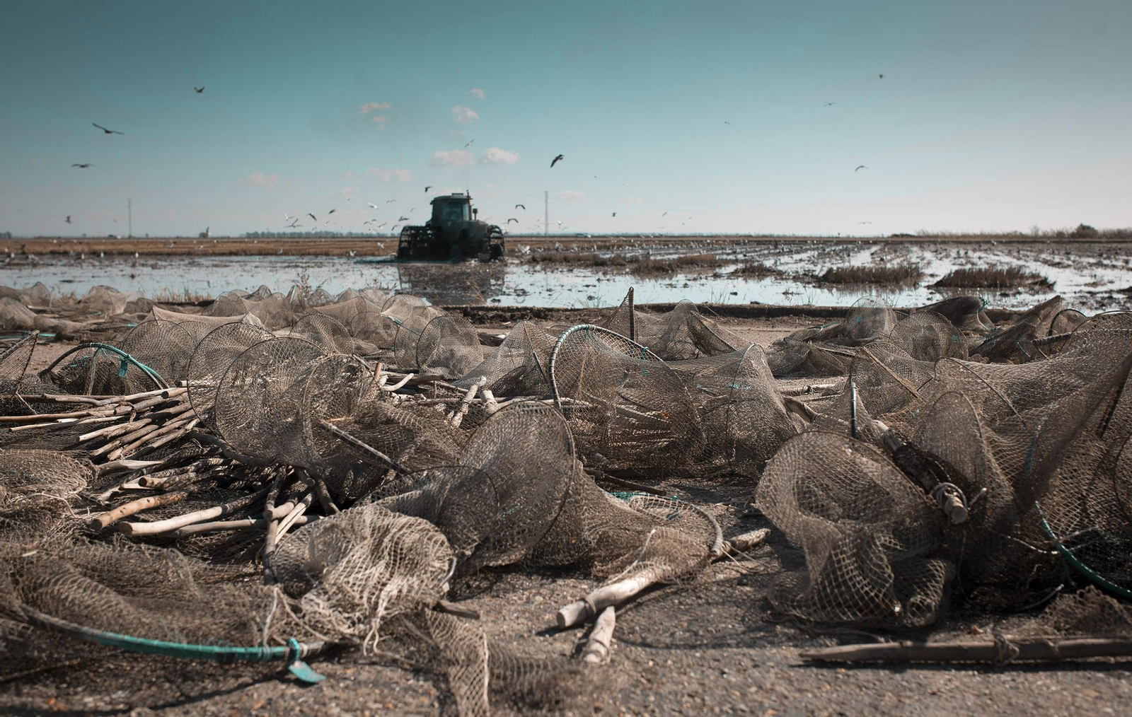 La ruta del arroz, en imágenes