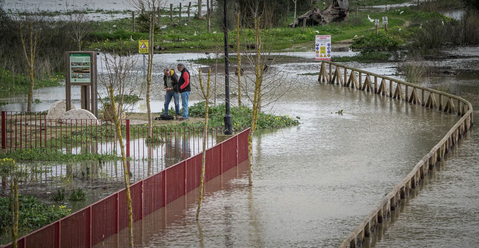 Un día tranquilo en el rio Guadalete, en imágenes