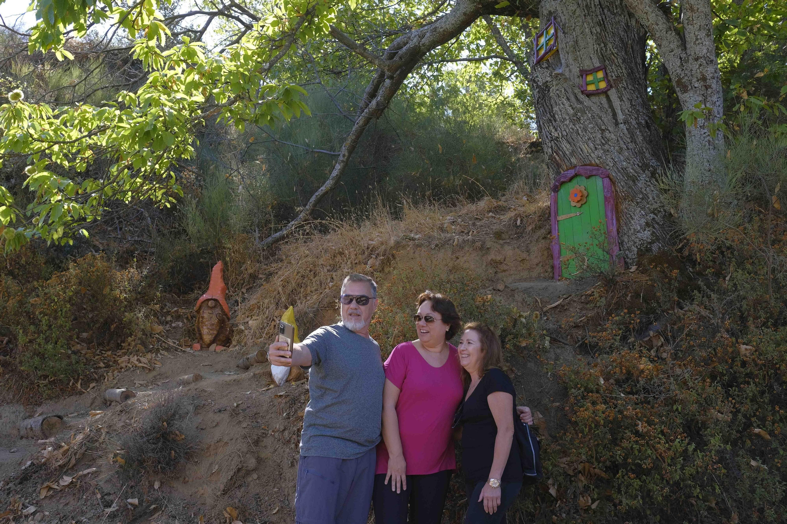El Bosque Encantado, en fotos