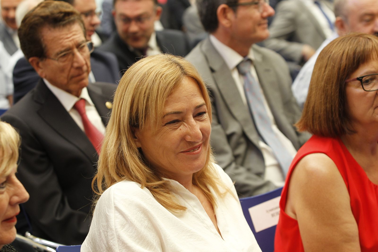 Pleno investidura Presidente Diputación de Almería. Javier Aureliano García