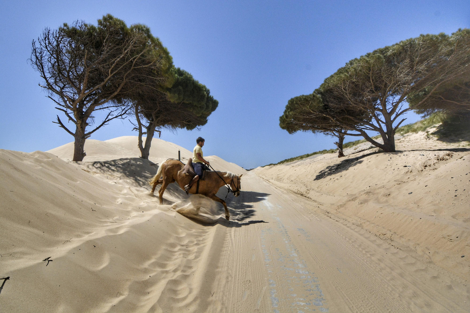 El avance de la duna de Valdevaqueros en Tarifa