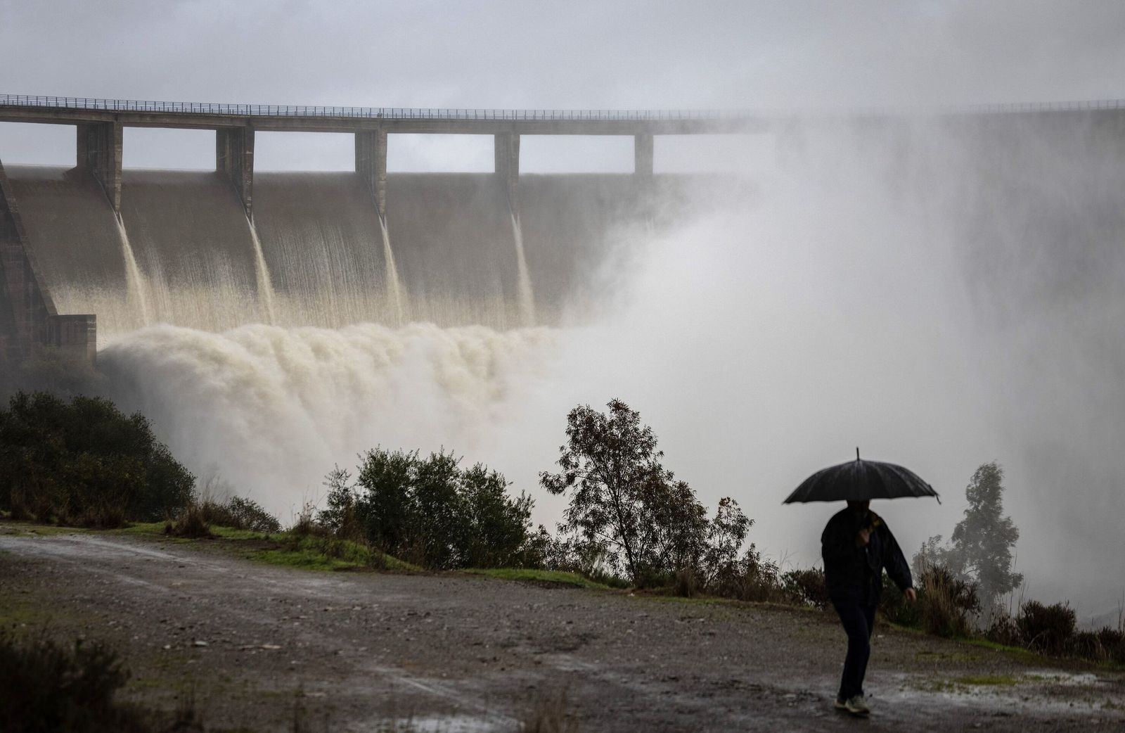 El Gergal es una de las seis presas que están desembalsando agua desde finales de enero