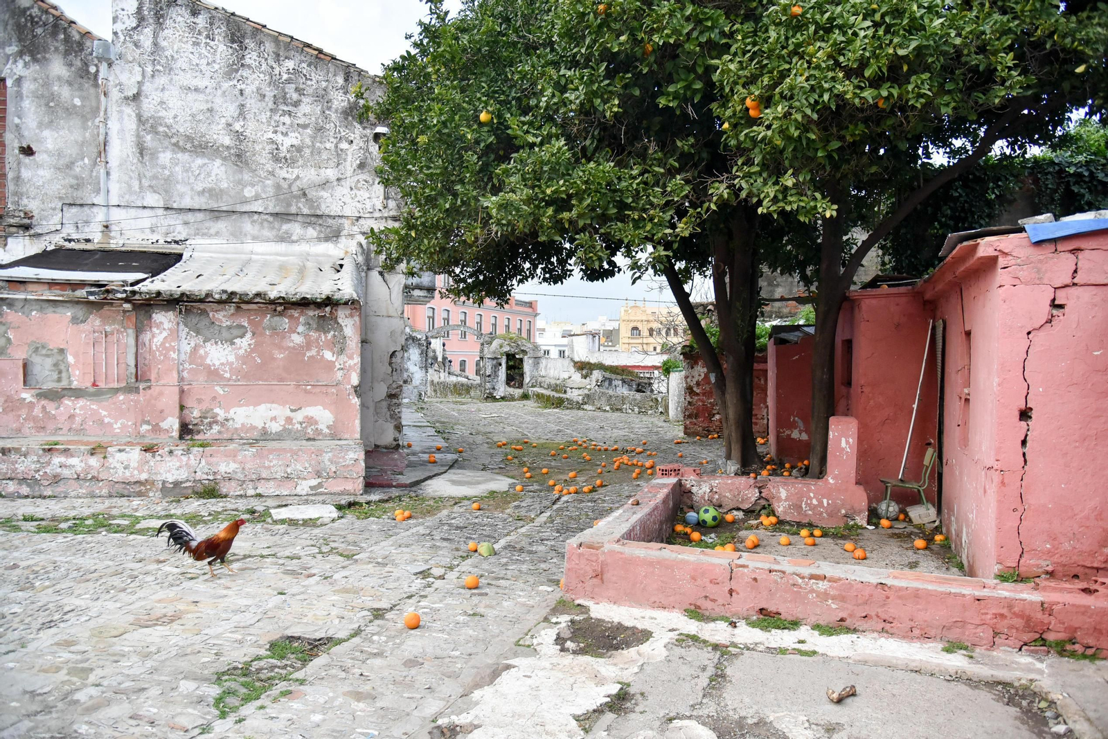 Estado actual de la plaza del Coral