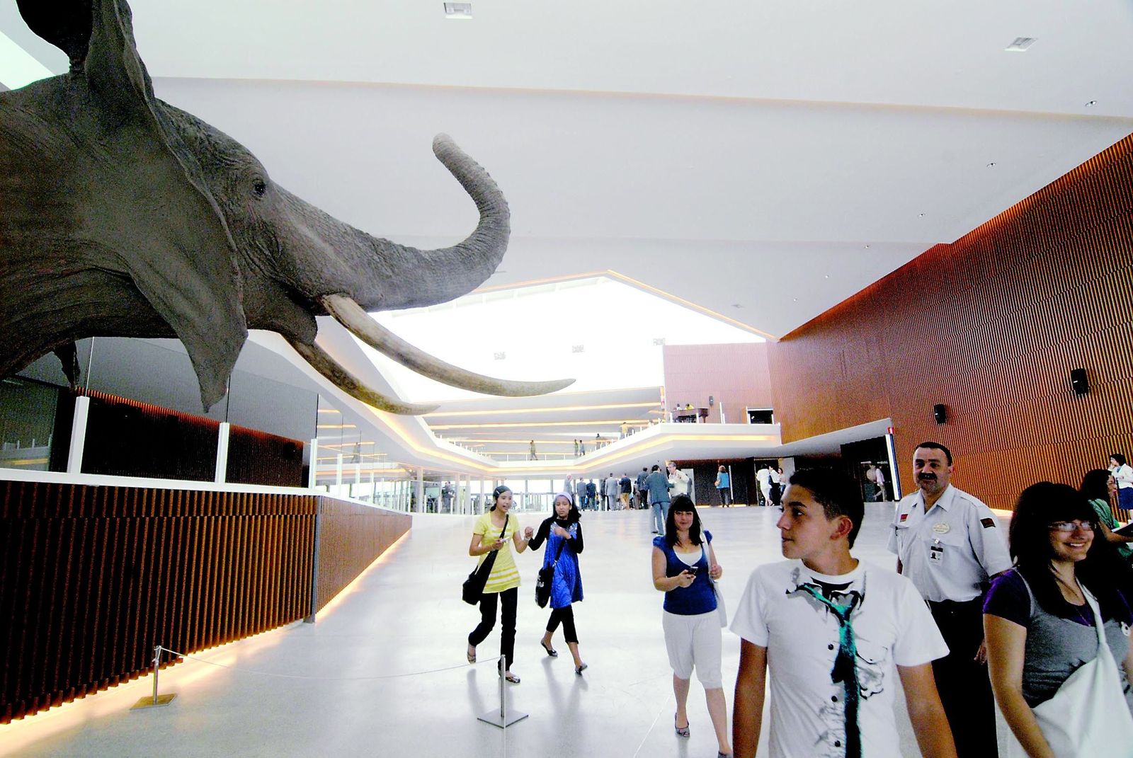 Jornadas de puertas abiertas en el Parque de las Ciencias por su 29 aniversario: horarios, actividades y experimentos