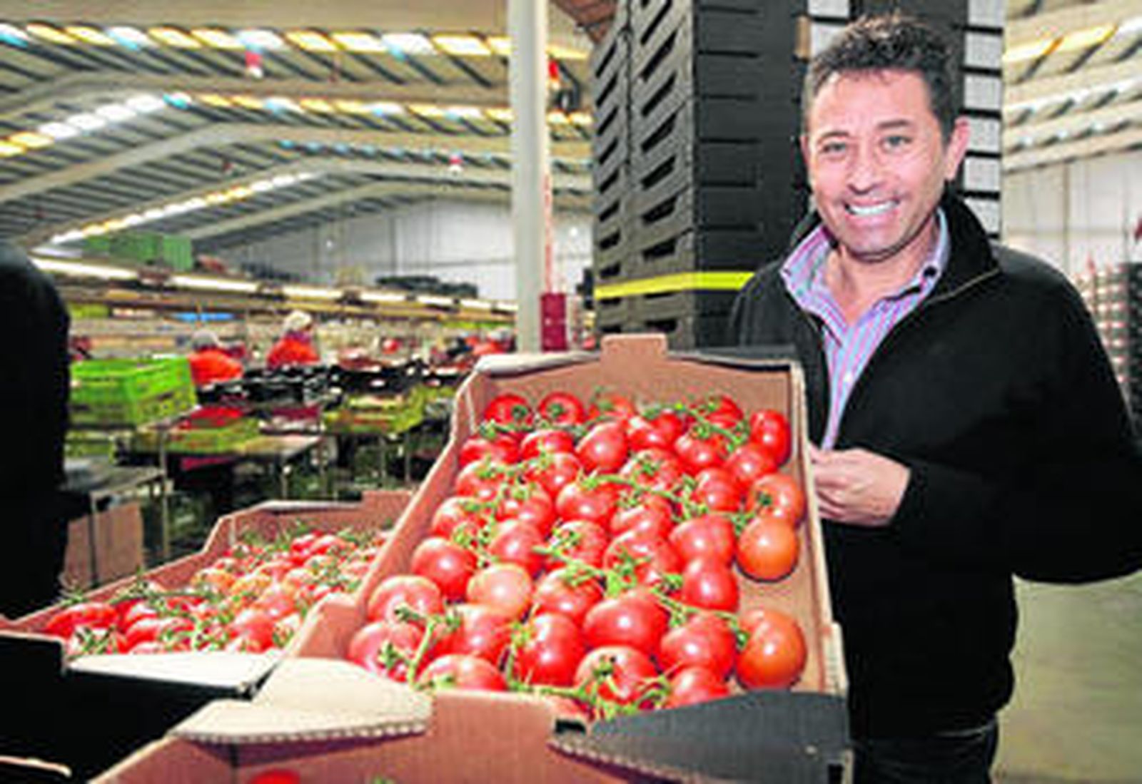 El presidente de Biosabor, Francisco Belmonte, muestra una caja de tomate ecológico, la especialidad de la firma.