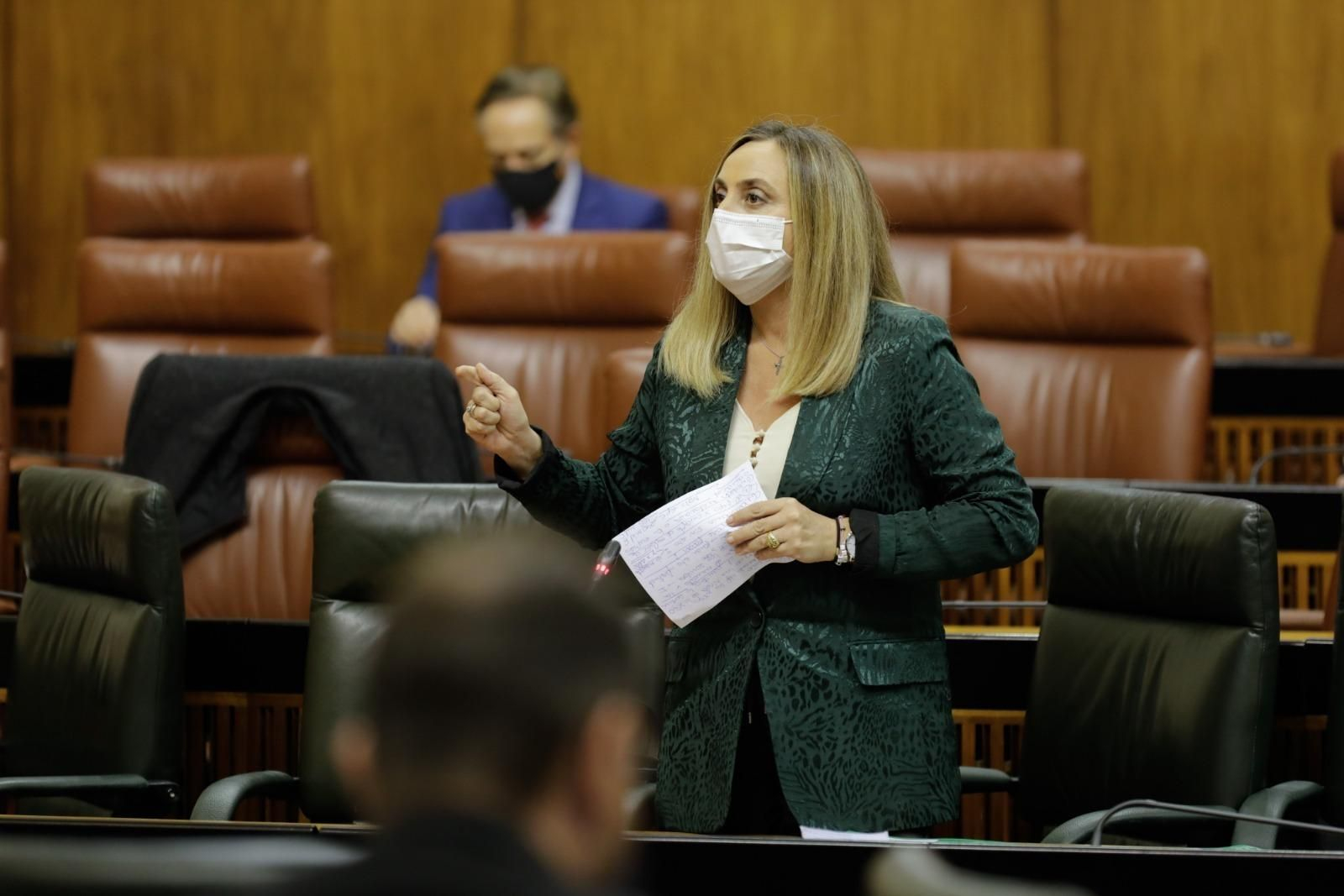 La consejera de Fomento Marifrán Carazo, este jueves en el Parlamento.