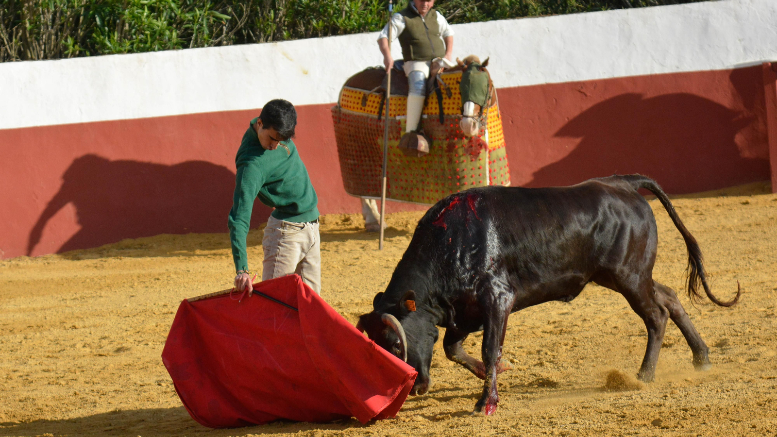 Tentadero con Talavante en la finca La Palmosilla, en Tarifa
