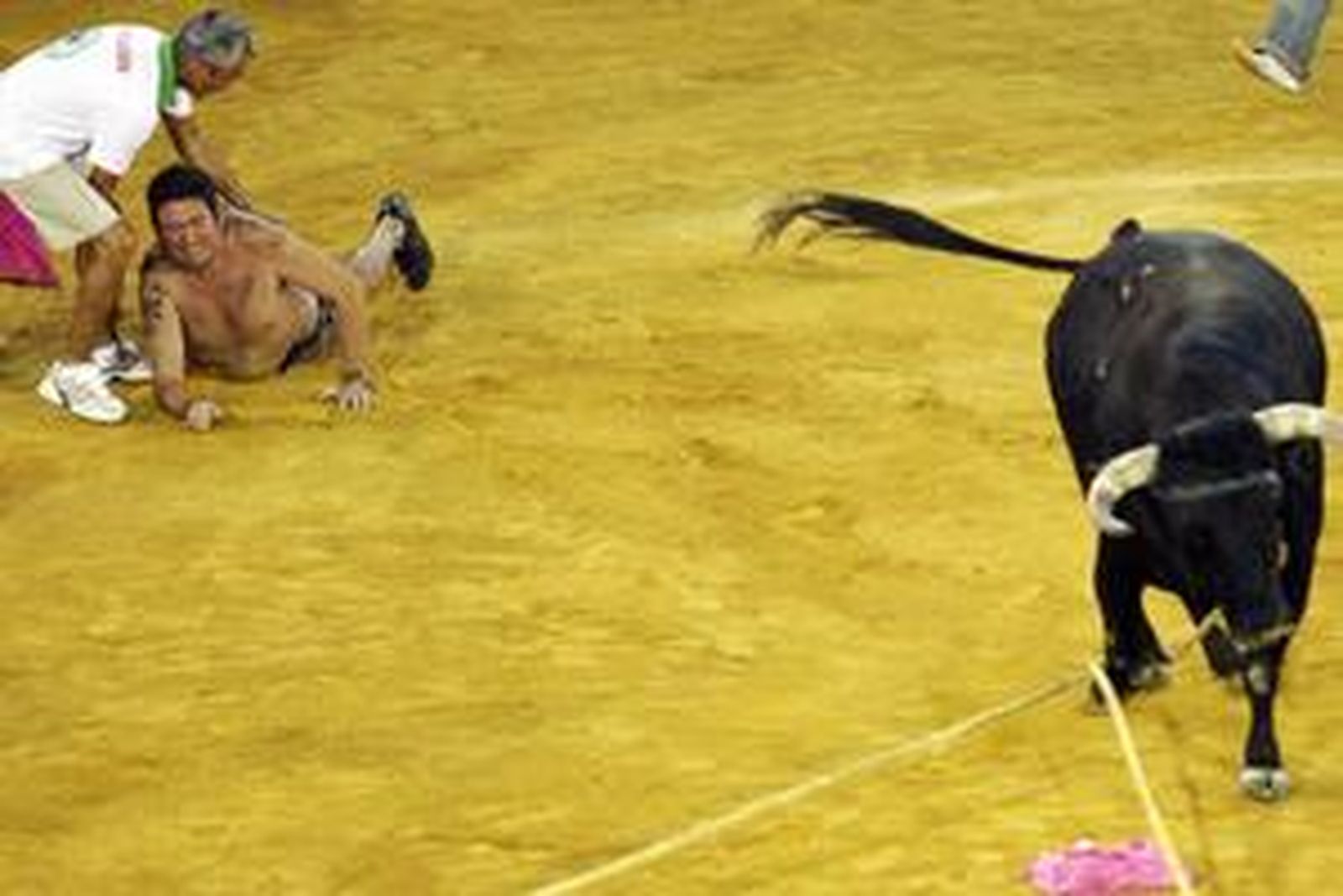 Con la suelta del llamado Toro del Aguardiente se pone el broche de oro a la feria de la localidad. No hubo que lamentar graves incidentes./Fotos:Paco Guerrero

Foto: Paco Guerrero