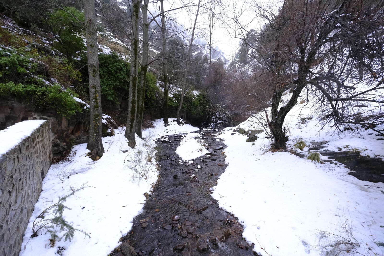 Fotogalería nevada en la Provincia de Almería