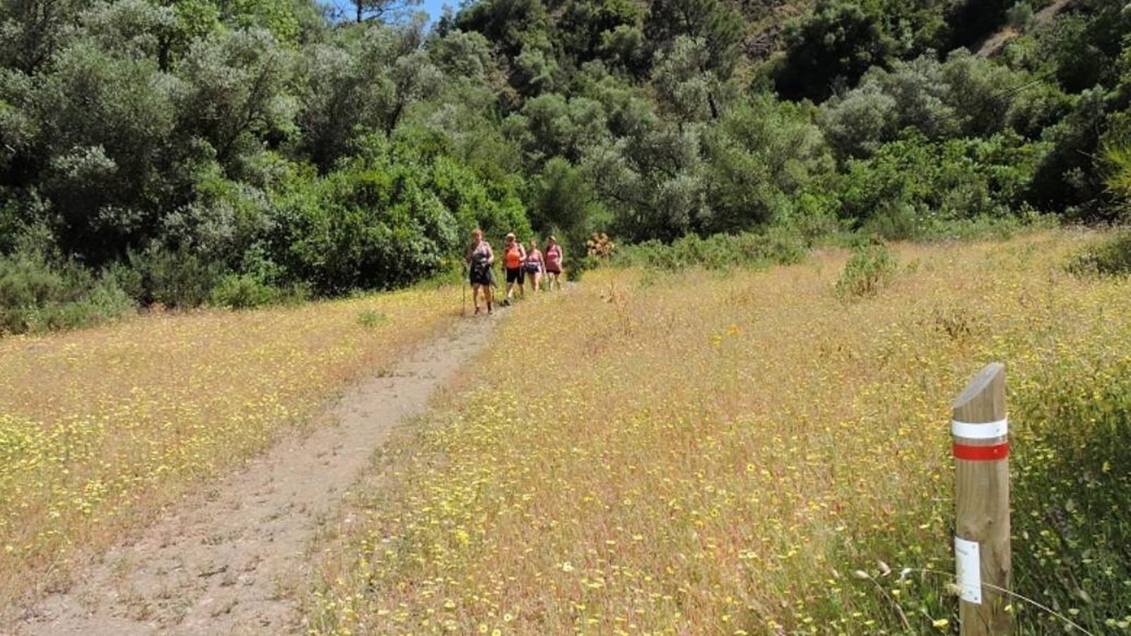 Andar en fila india es un clásico de campamento de verano. (¿Se puede usar aún la expresión 'fila india' o es políticamente incorrecto?)