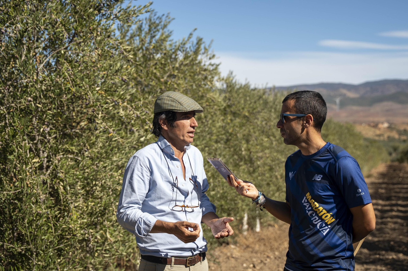 Las imágenes de la campaña recogida de acetuna en Fiñana