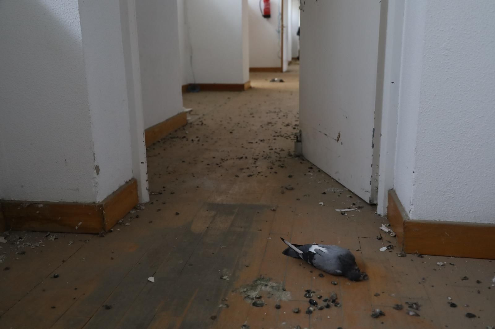 El mal estado del Pabellón de España de la Expo 92