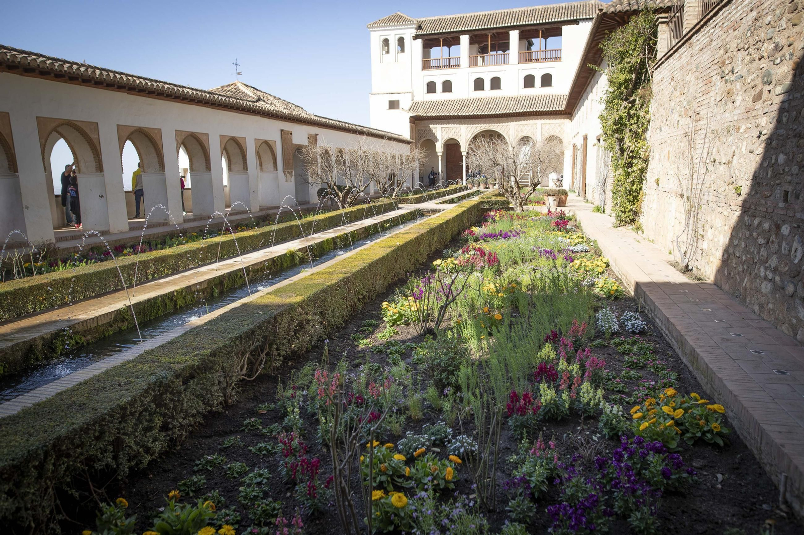 La Alhambra en flor...de invierno: las imágenes