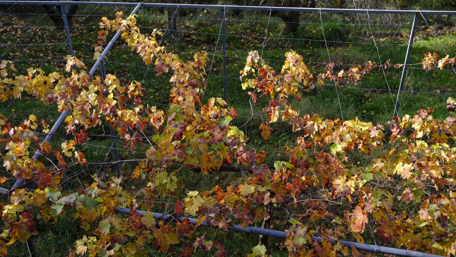 Limpieza y senderismo por la Alpujarra, en imágenes