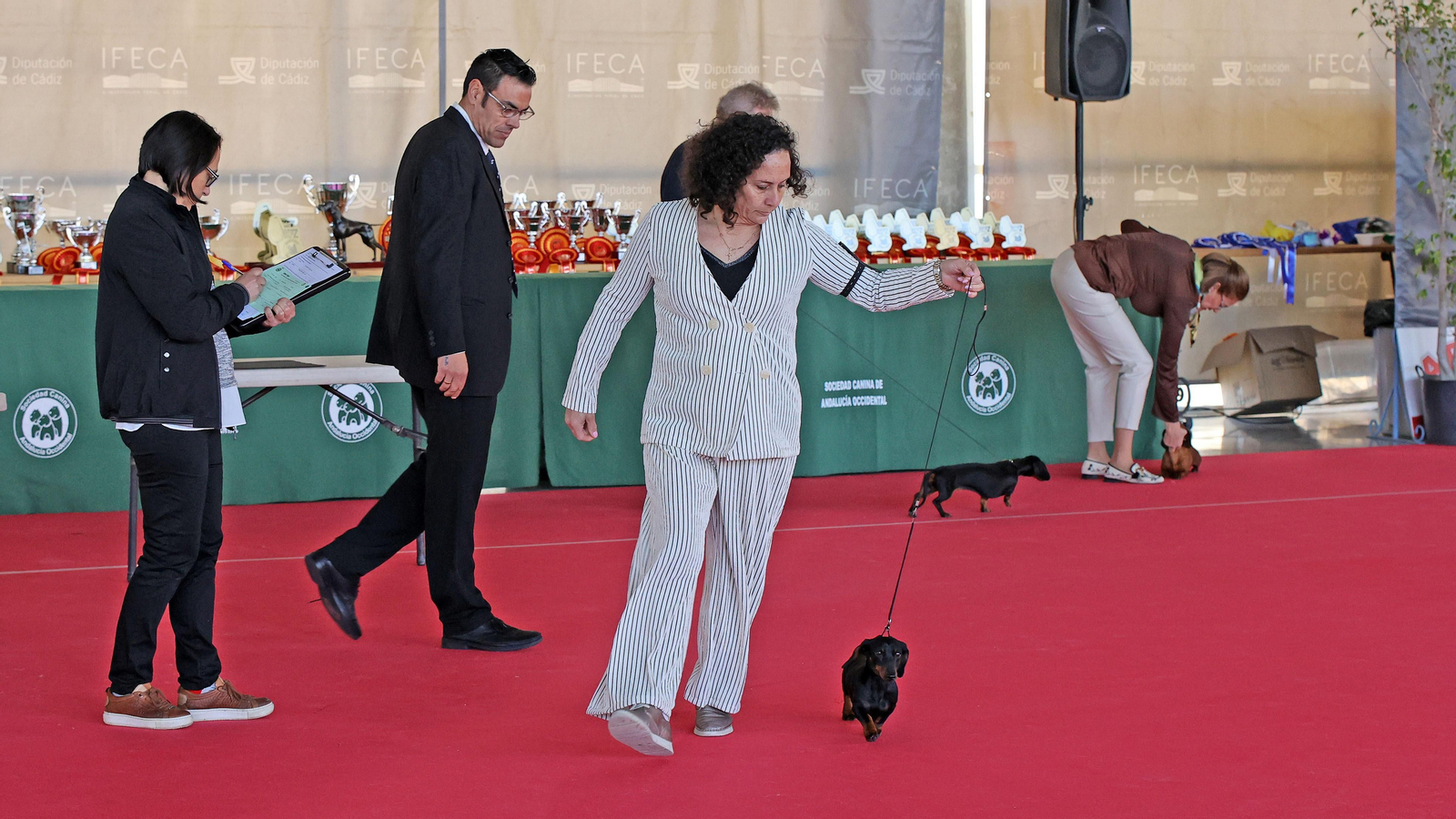 Imágenes de la 49ª edición de la Exposición Nacional Canina y la 25ª edición de la Exposición Internacional Canina en IFECA Jerez