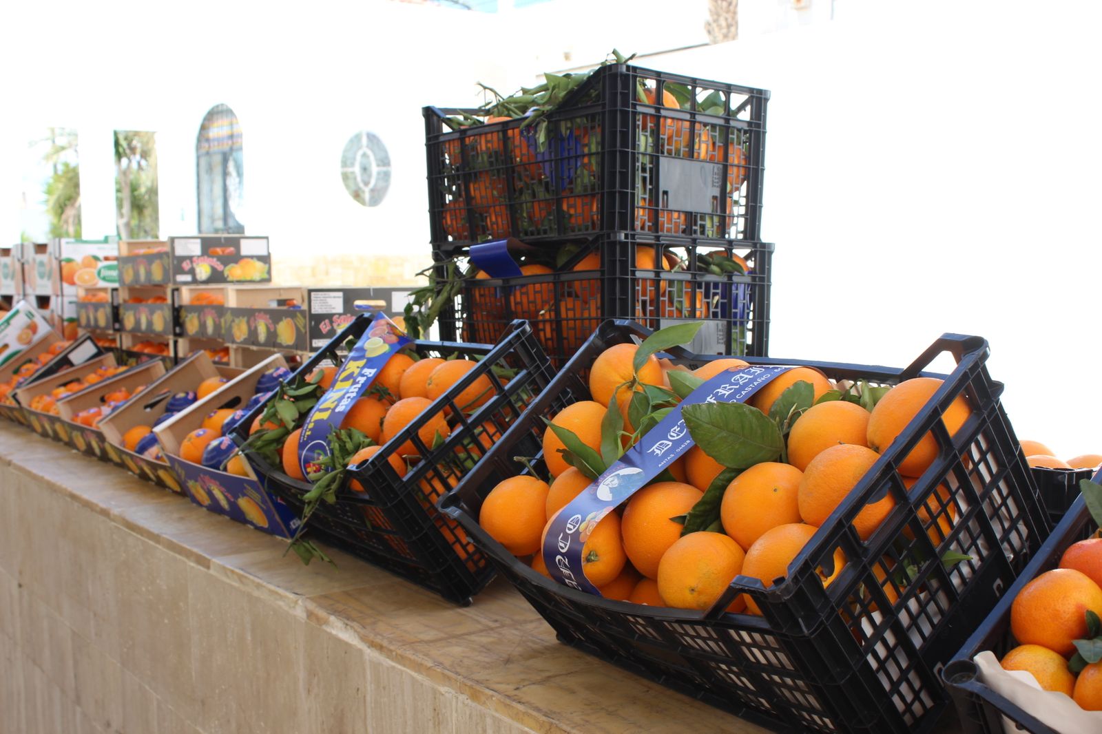 Antas es uno de los más importantes productores de naranjas.
