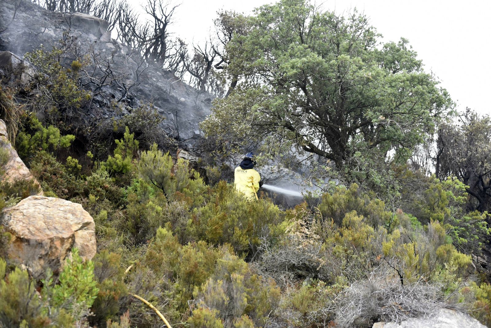 Un bombero del Infoca refresca el terreno calcinado en Tarifa, este martes.