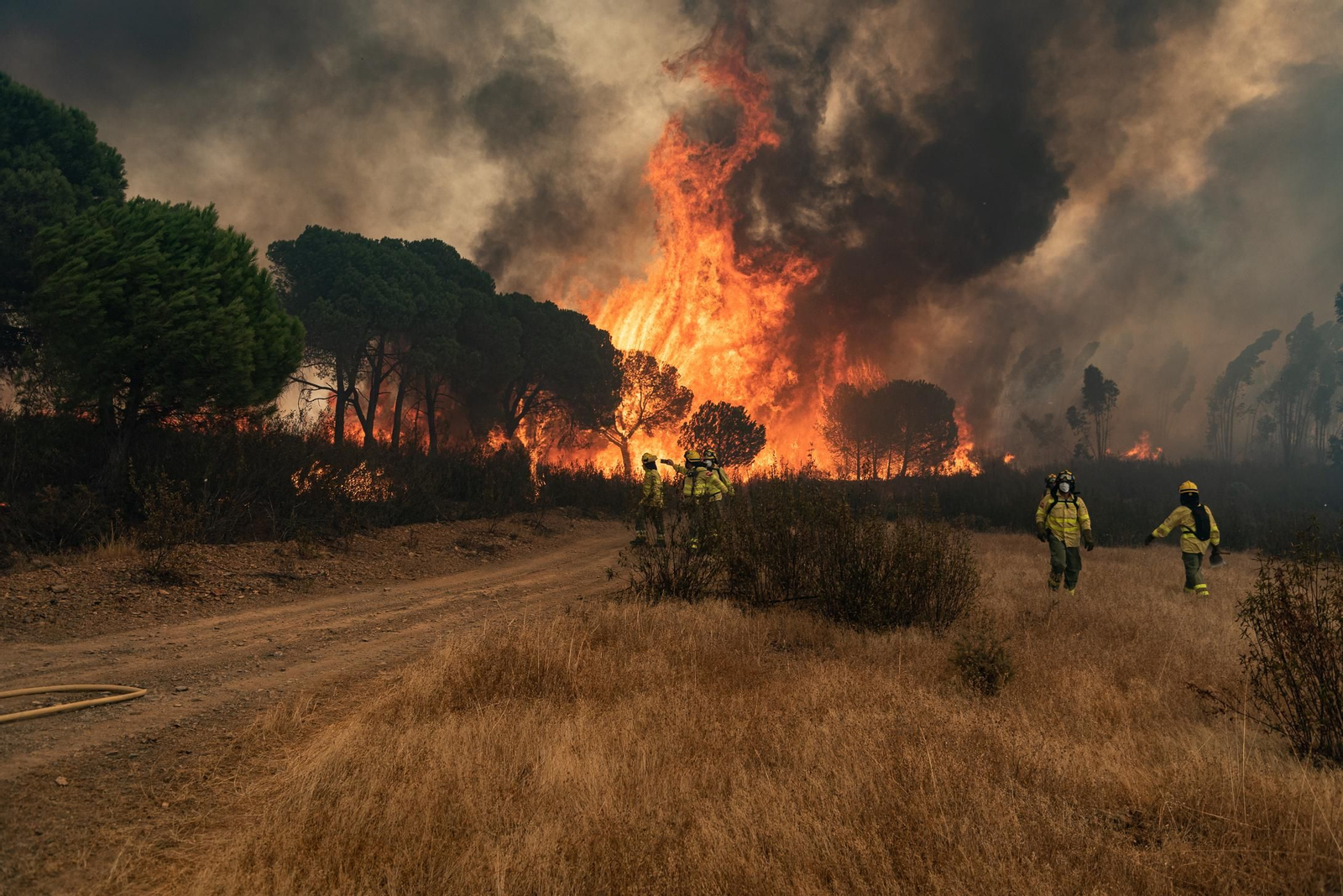 Imágenes del incendio de Almonaster a su paso por Zalamea