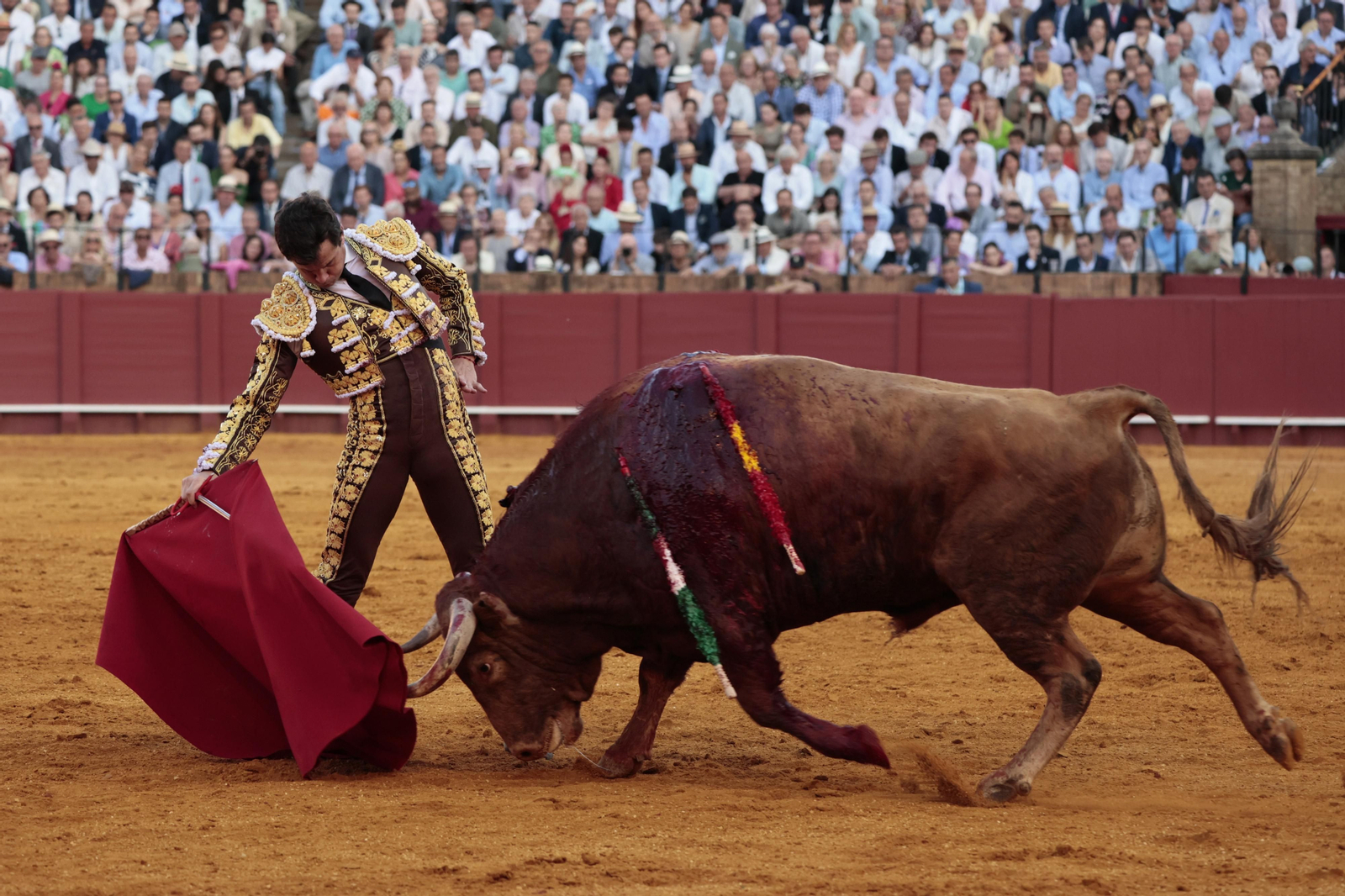 Las imágenes del festejo