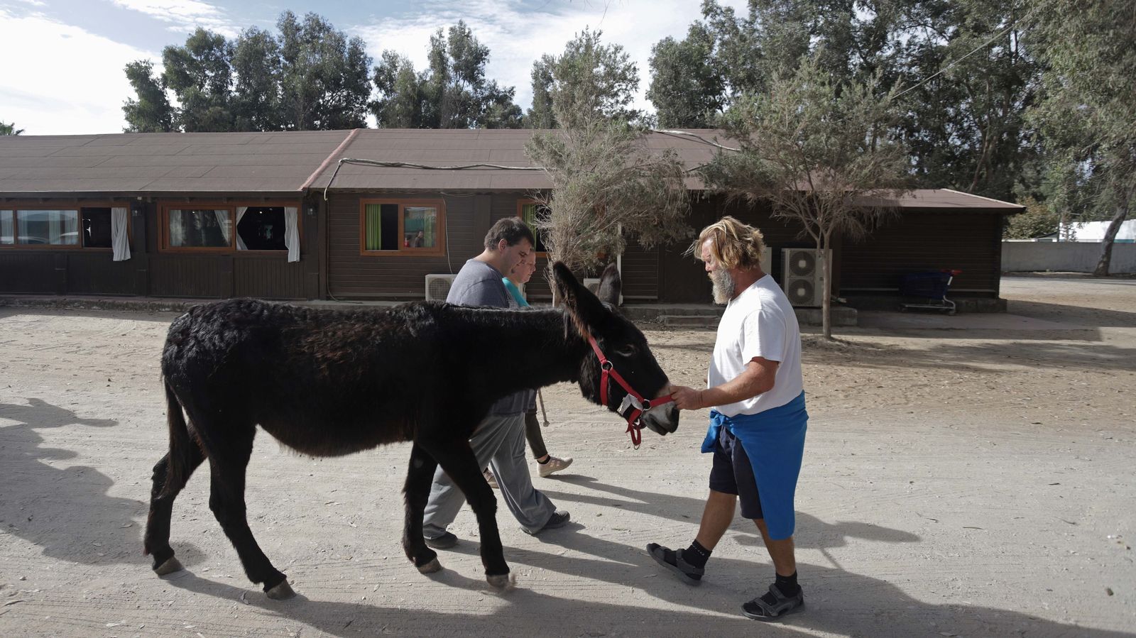 Sesión  de burroterapia con usuarios de Asansull en Palmones