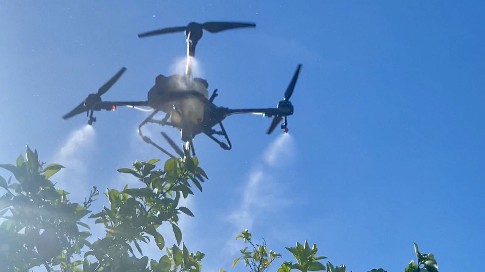 La tecnología de la cordobesa Esdron se centra en el monitoreo de cultivos.